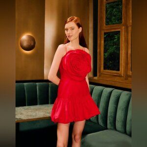 Farm Rio: Red Balloon Mini Dress